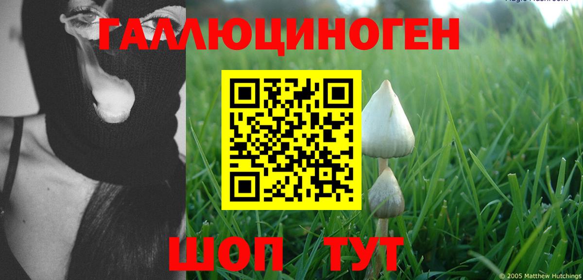 Псилоцибиновые грибы Magic Shrooms Кстово
